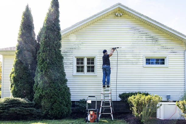 Best Concrete Pressure Washing  in Charleston, IL